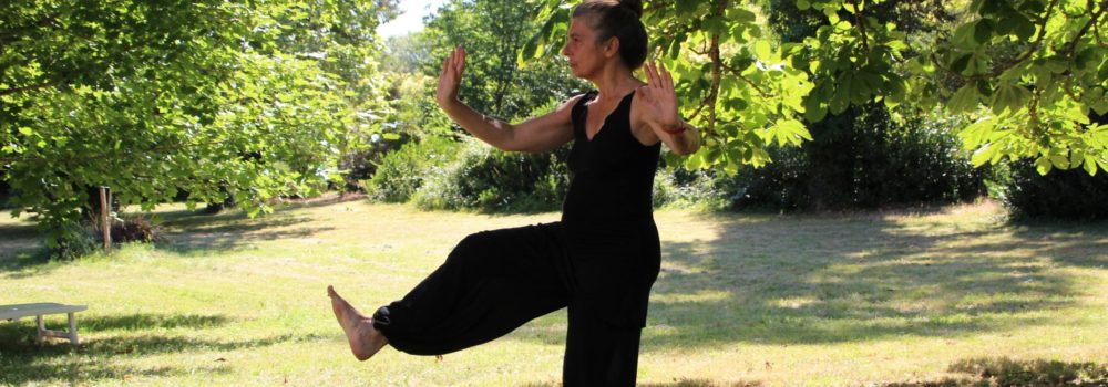 Die Beziehung von Taiji und Qigong zur Akupunktur 58