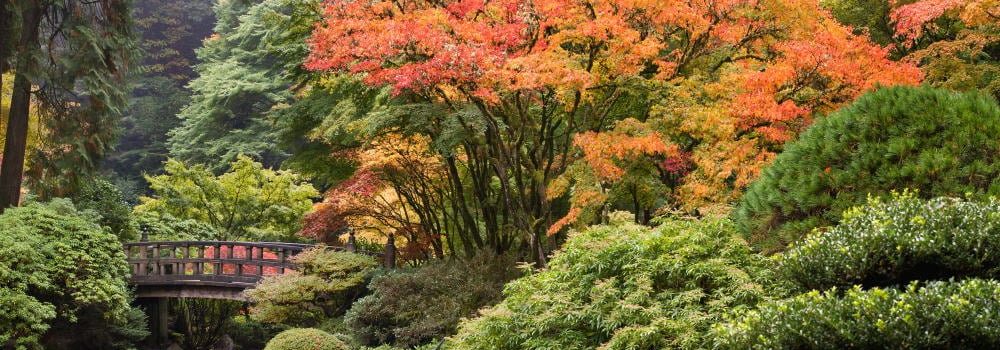 Prävention in der Chinesischen Medizin 29