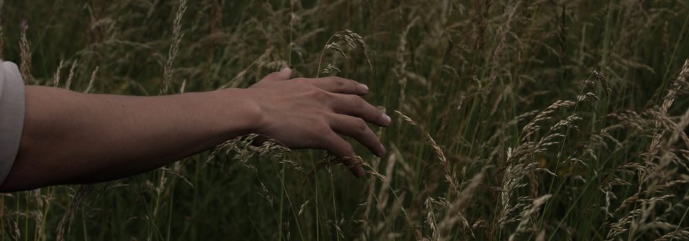 Chinesische Medizin & Polyneuropathie 9