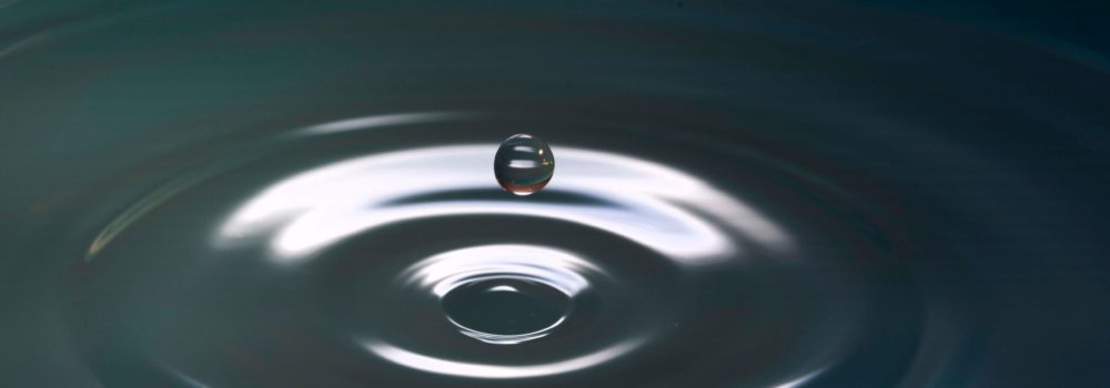 Die Blase in der Chinesischen Medizin 40