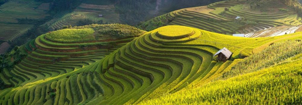 Meine Behandlungsphilosophie 1