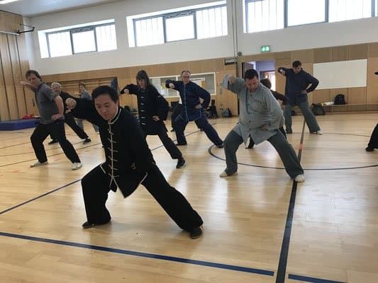 Die Beziehung von Taiji und Qigong zur Akupunktur 1 Die Beziehung von Taiji und Qigong zur Akupunktur 1